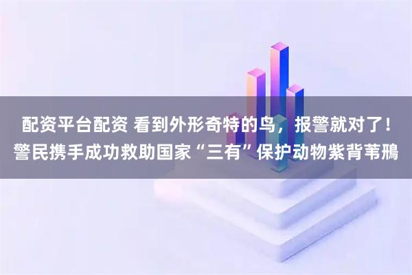 配资平台配资 看到外形奇特的鸟，报警就对了！警民携手成功救助国家“三有”保护动物紫背苇鳽