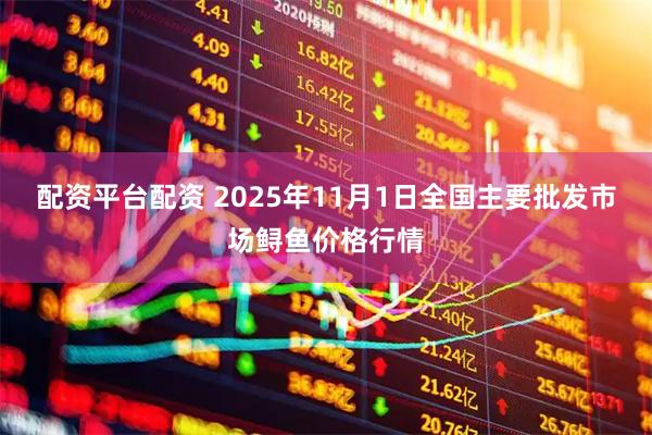 配资平台配资 2025年11月1日全国主要批发市场鲟鱼价格行情