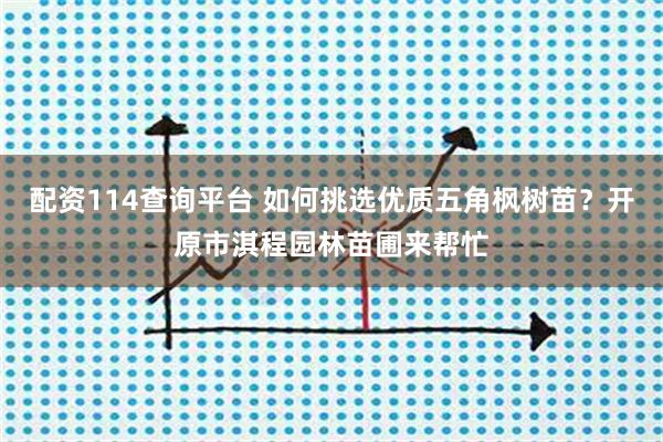 配资114查询平台 如何挑选优质五角枫树苗？开原市淇程园林苗圃来帮忙