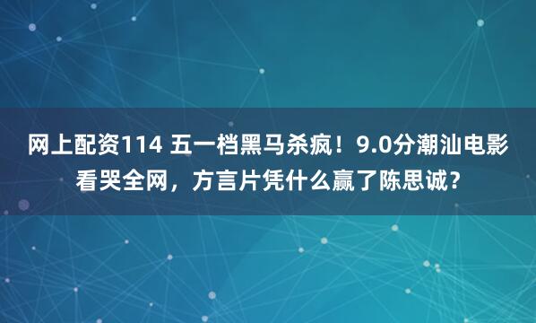 网上配资114 五一档黑马杀疯！9.0分潮汕电影看哭全网，方言片凭什么赢了陈思诚？